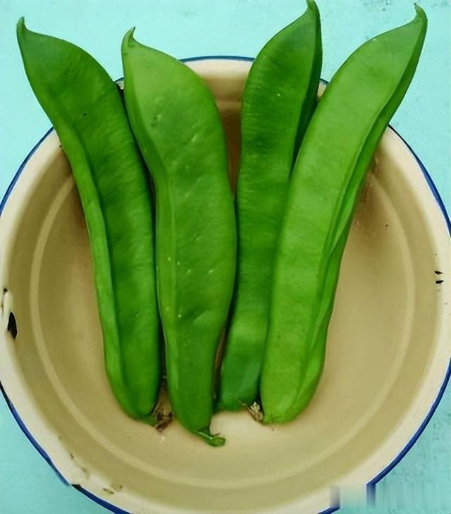 刀豆|這種蔬菜有毒，農(nóng)村卻常拿它來做家常菜和腌菜，而如今為何消失？