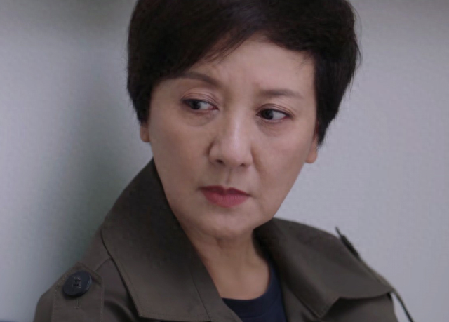 两大卫视今晚开播！37集都市大剧来袭，邓婕出山，这剧熬夜也要追