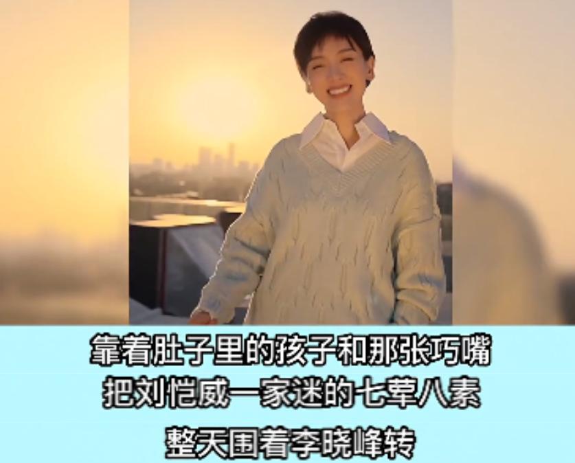 李晓峰|曝李晓峰怀孕2个月，疑返港隐婚，刘恺威为讨好欲将小糯米还杨幂