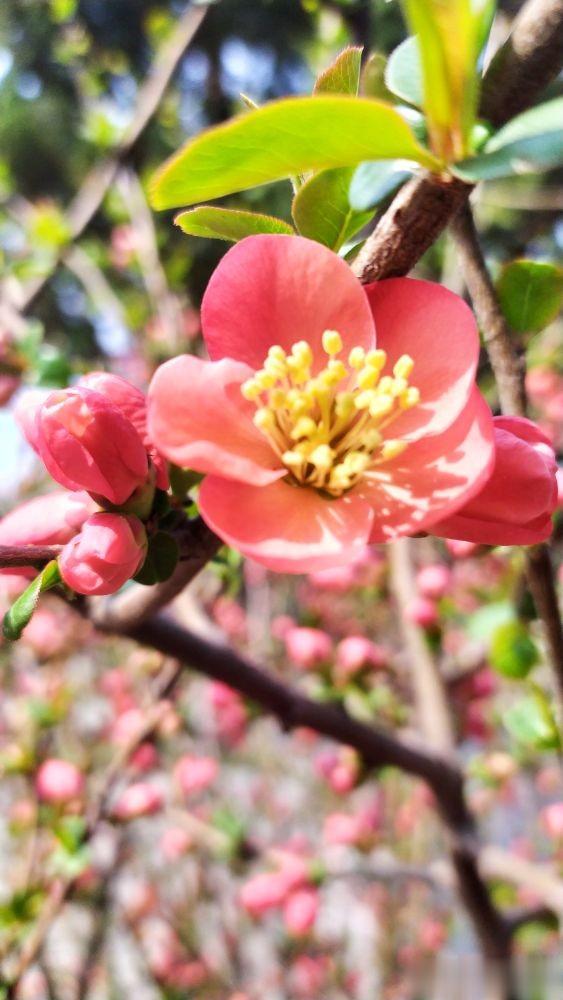 |也谈降低兴奋点和提高幸福感---老韩头条三言两语杂谈四十三