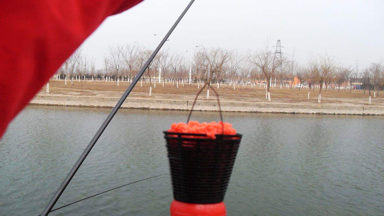 为什么冬季的大晴天鱼不开口？我们又该如何应对？给你支几招