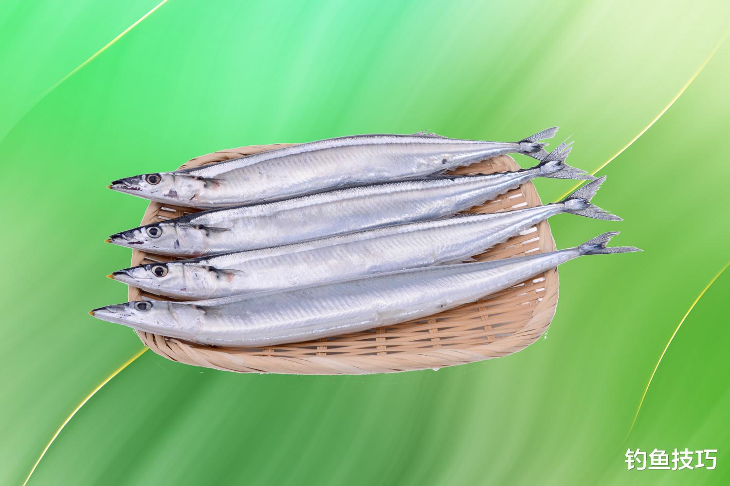 海钓|海钓的常用鱼饵和使用技巧，都是海钓的干货，大幅提高海钓鱼获