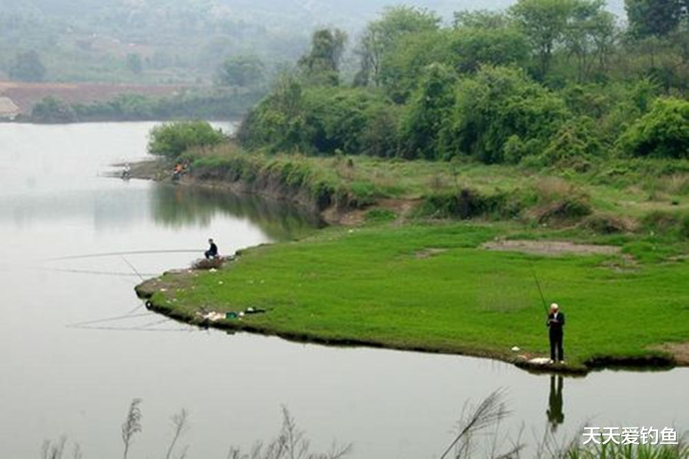钓鱼|夏季野钓,选钓位的2大方向,大鱼基本躲这里