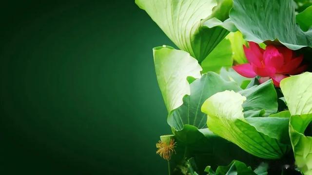 一个人有没有赚钱的能力,从说话的语气中就能听出来