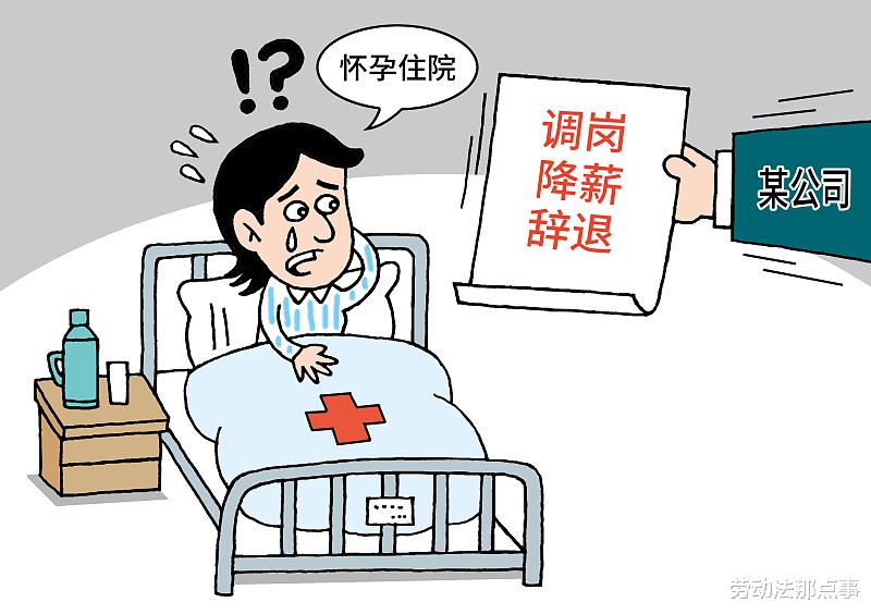 职场故事|因简历造假被停职，怒告公司违法辞退