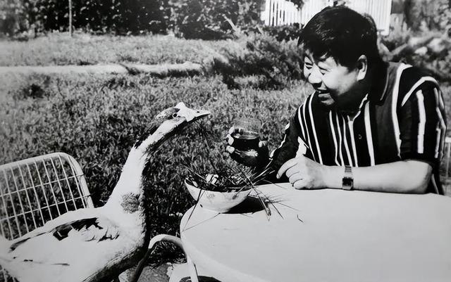 于波:丈夫马季离世17年,独留她一人在世,儿子的孝顺让她安心