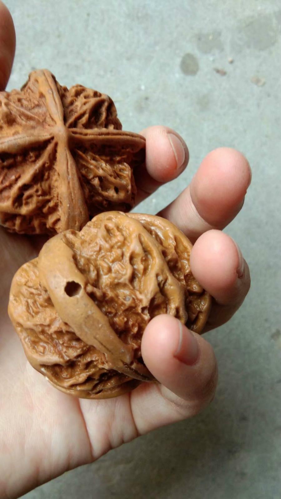 菊花一角|文玩人，这8种“一眼假”别玩了，太尴尬！