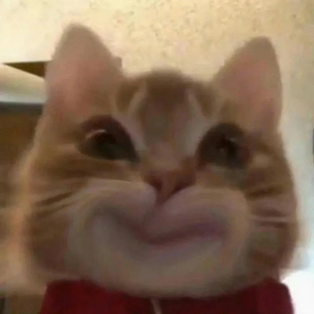 她一夜间长出了神似冰冰的猛虎出山脸,韩国审美却无福消受了?