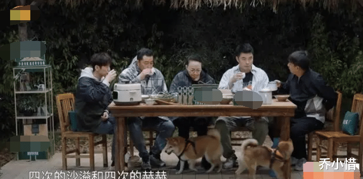 刘宪华|《向往7》刘宪华回归，让观众重温到了之前的快乐