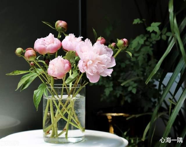 肉包子|【短故事35】婆婆蒸了一锅包子，却放到冰箱冷冻起来了，她是几个意思？