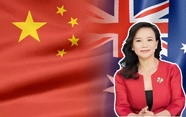 央视著名主持人成蕾：潜伏20年为美澳窃取机密，因一句话暴露身份