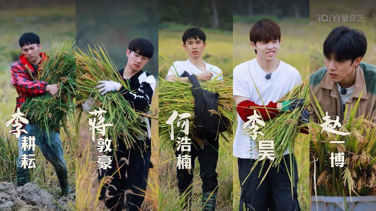|过气爱豆下乡种地？爱奇艺很会整活，观众天天催更，综艺界的清流