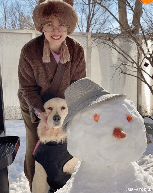 周海媚遗产及后事细节曝光，姐姐发声明澄清死因