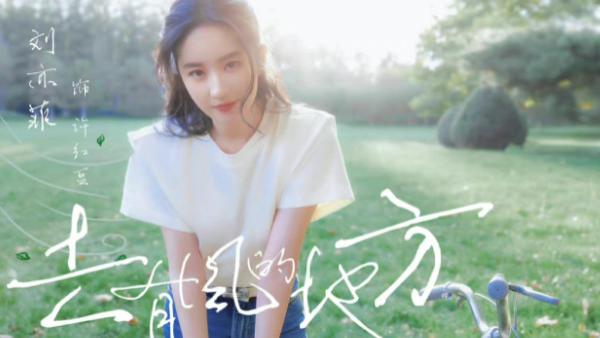 去有风的地方|向往的生活，有风的地方，哪里才是自由之所