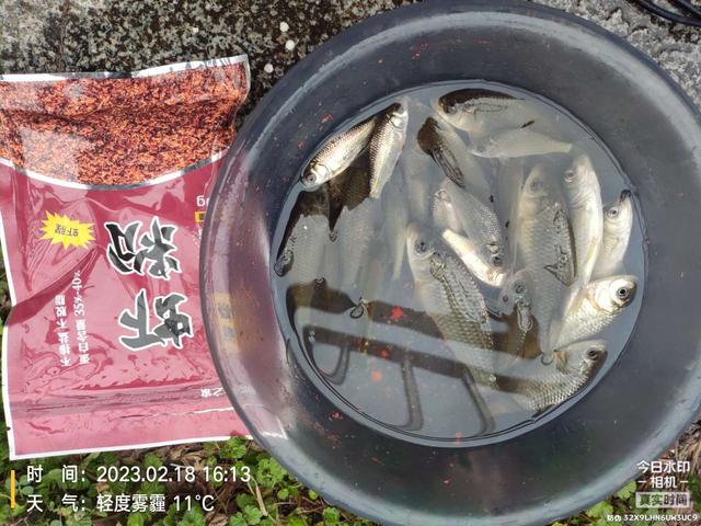 |【钓鱼之家虾粉】找准钓点，虾粉发威，终得过瘾！