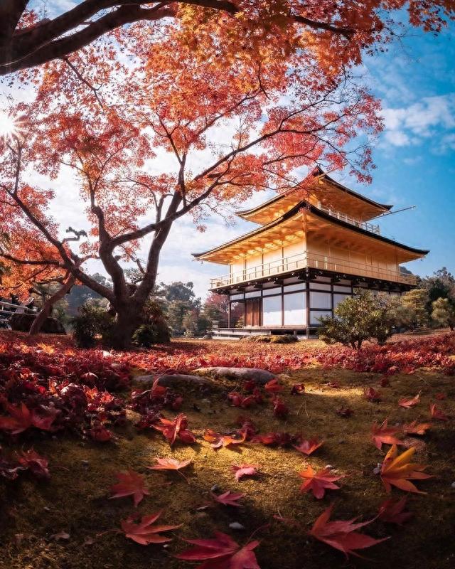 日本旅游|地理冷知识——北半球的秋天