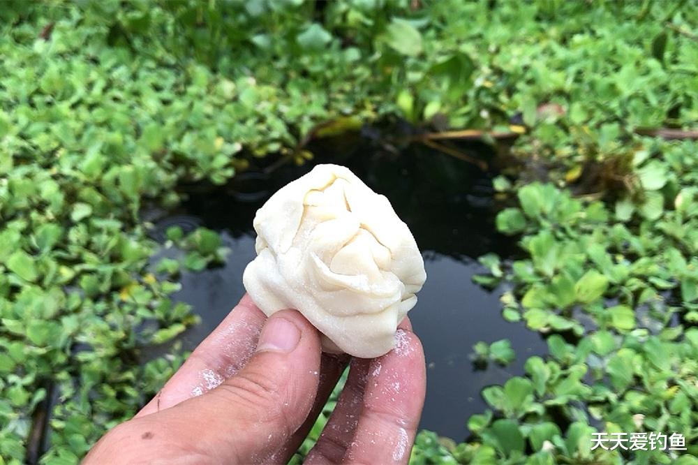 野钓大鲫鱼，公丁香的“不传秘方”，“绝杀”半斤以上