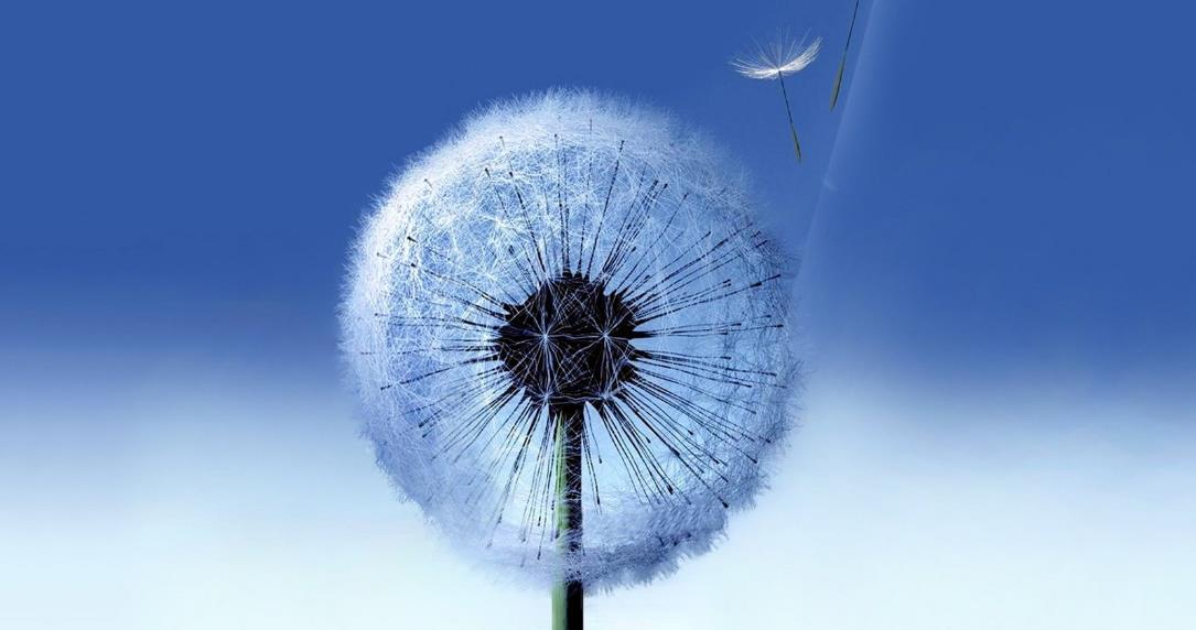 豆腐|“早不買豬肉，晚不買豆腐”，其中有什么生活竅門？