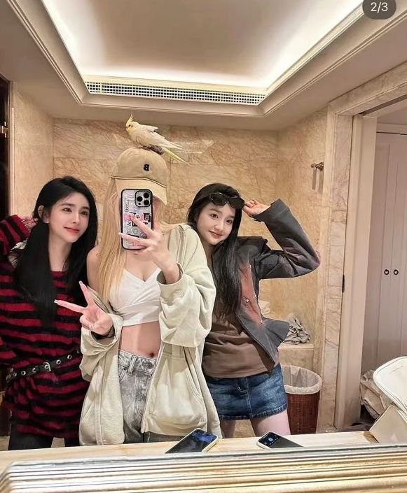 王思聪家成网红打卡点,对着7万元镜子拍照,网友:居然都不吃醋