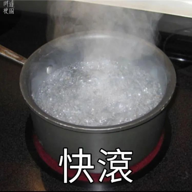 金晨满地打滚减肥？这种奇葩招术居然是有效的！