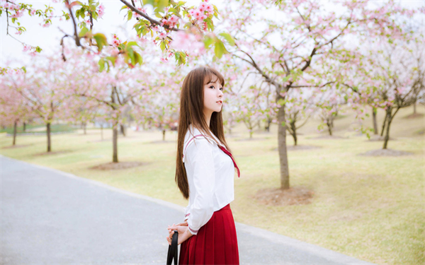 生肖|头脑非常聪慧，看的也比较透彻，低调但非常有实力的三个生肖