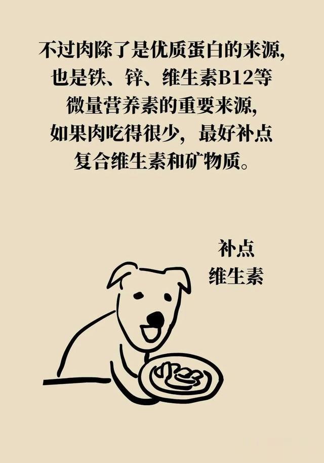 减肥不能吃肉？照着这19张示范图吃就行