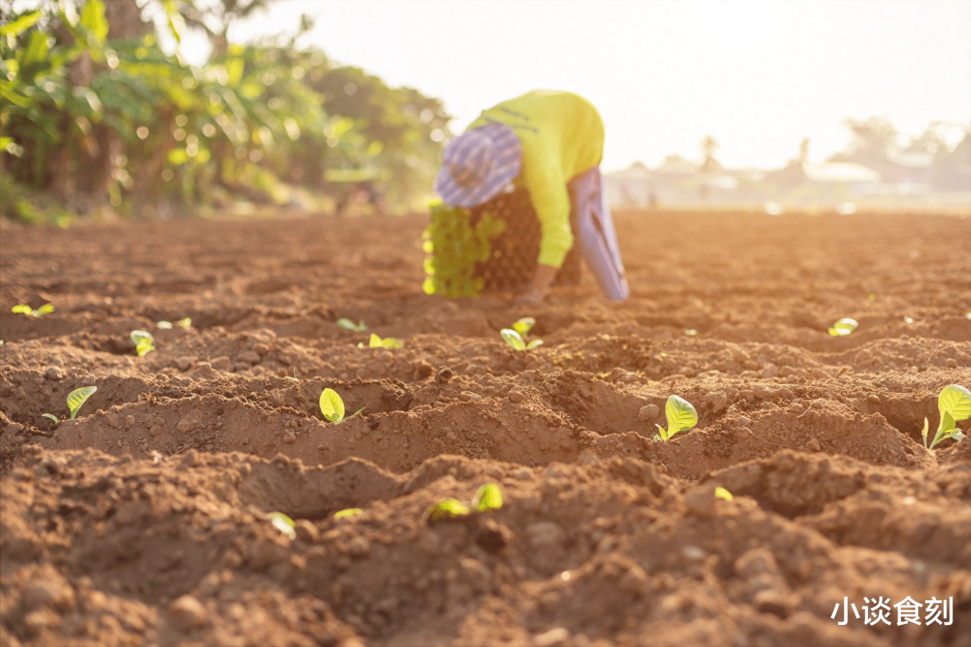 |“二十七雨堵门,3事不做喜临门”,明日八月廿七,3事分别指啥?