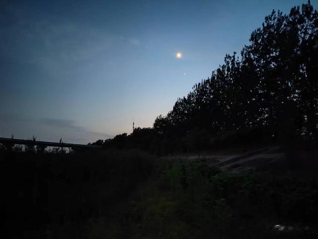 钓鱼日记——2023年6月22日(巩华城附近夜钓)