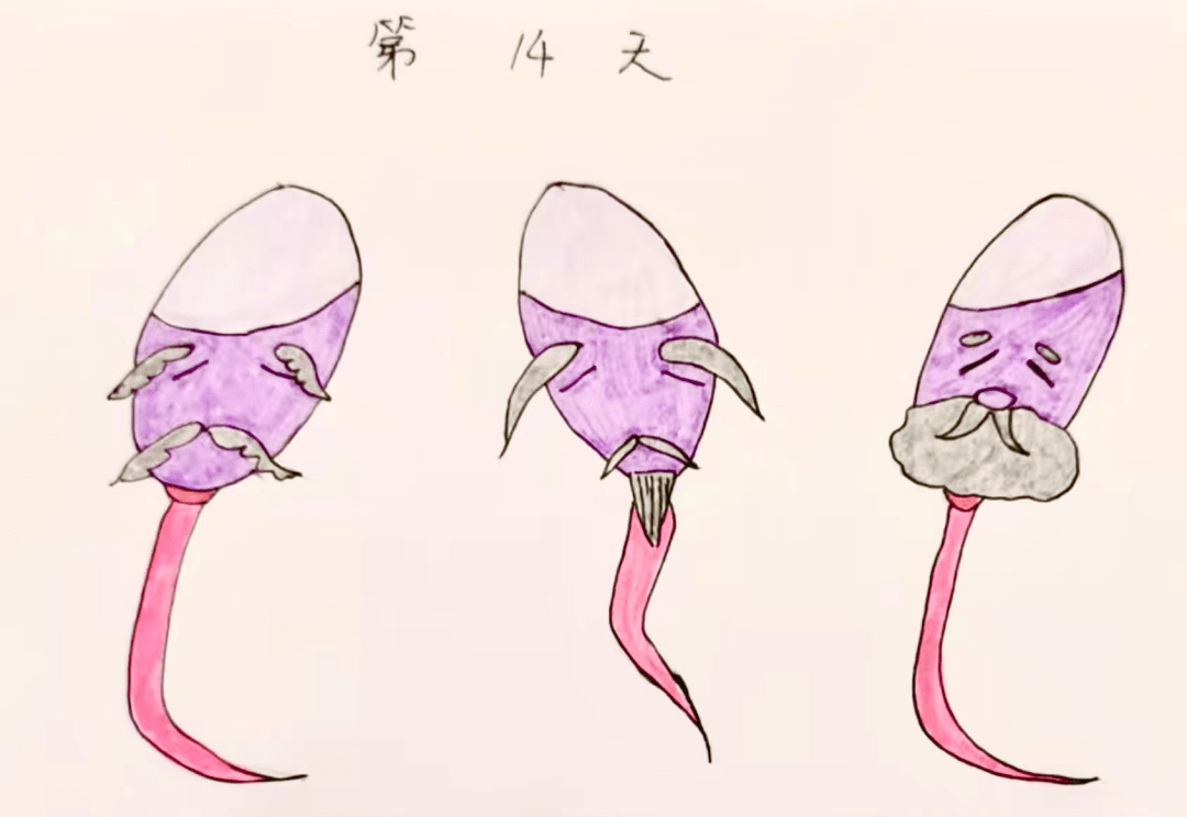 男子泄一次 减寿多久？肾精亏损不管它 能自己恢复吗？（中医科学解答）