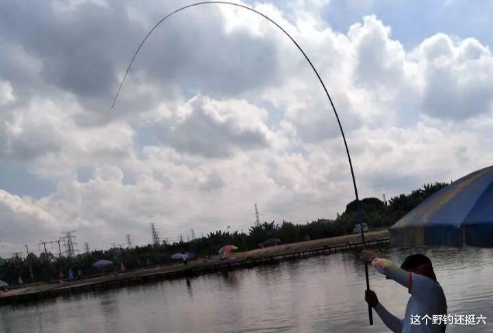 钓鲤鱼调钓与看漂抓口!钓目决定成败,调平水真的是在钓钝吗?