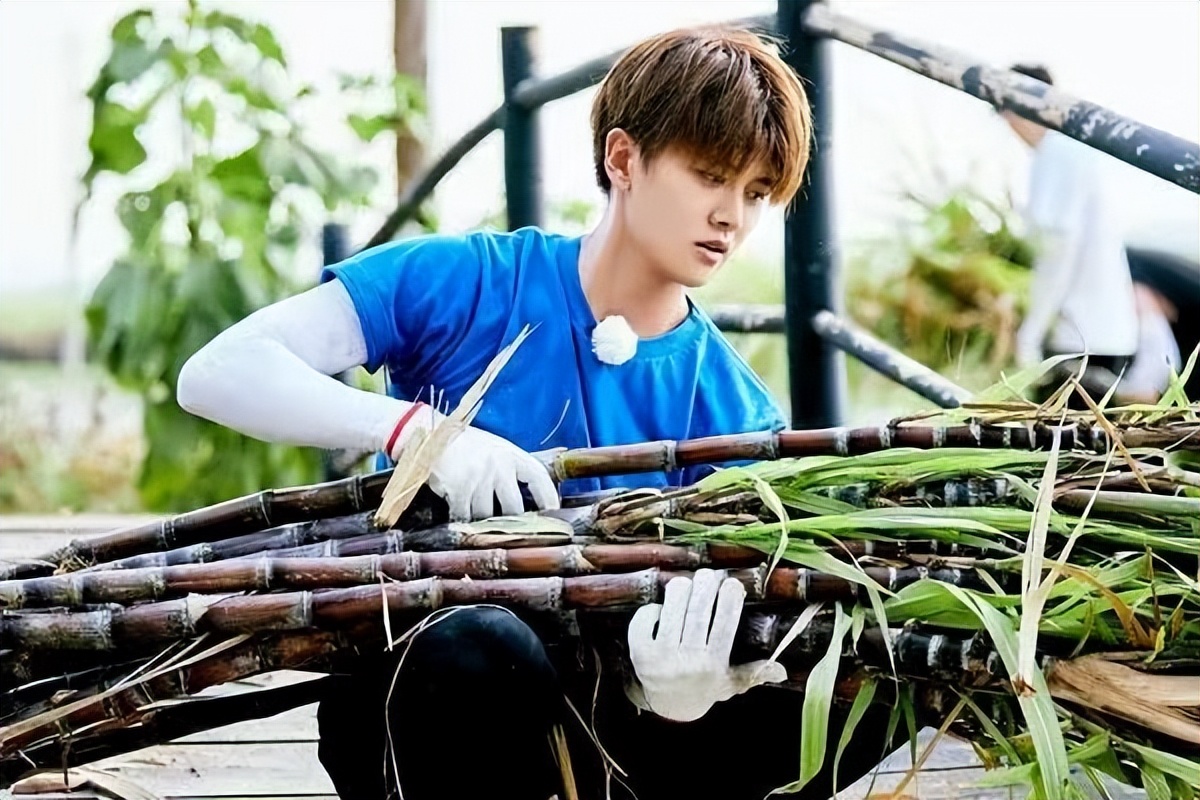 向往的生活|《向往的生活》第七季开播，也将是最后一季，你有什么期待呢