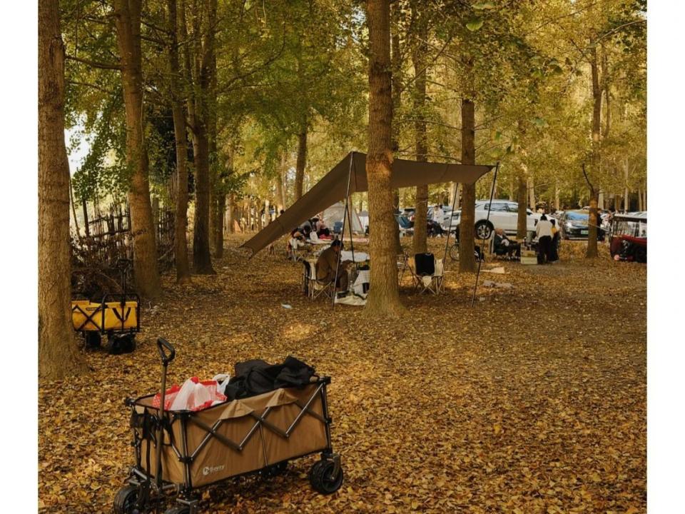成都|成都一座高颜值的森林公园，秋天景色迷人，是全家出游的好地方
