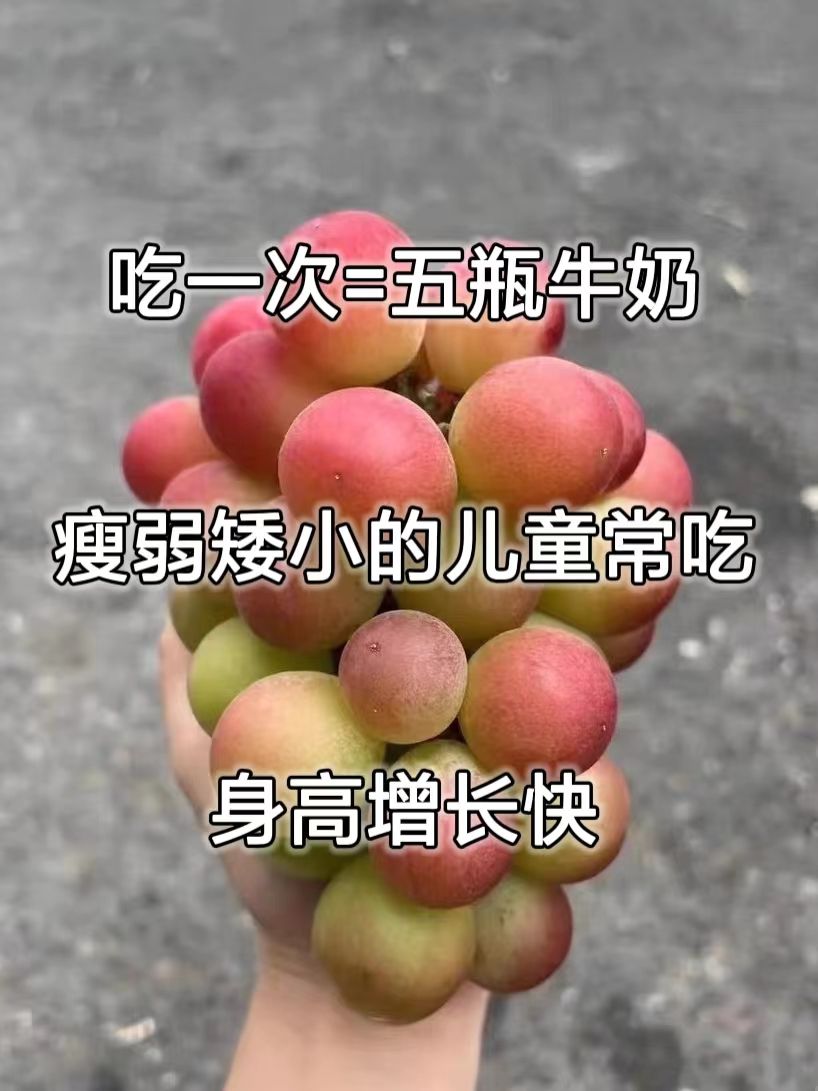 |吃一次=五瓶牛奶，瘦弱矮小的儿童常吃，身高增长快