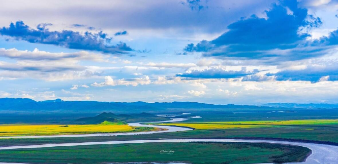 草原|?炎热的夏季去哪里避暑最好呢?文中介绍了4处消夏大草原供您参考
