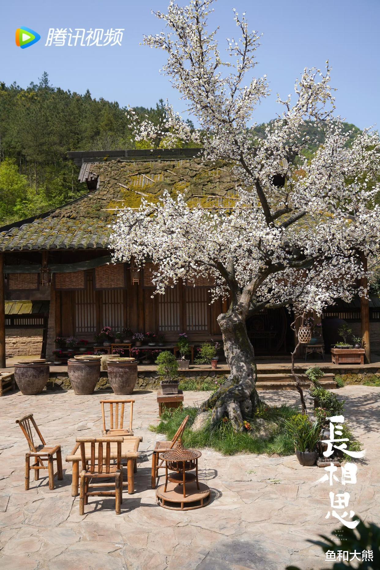 《长相思》播出受限！第二季被删14集无缘连播，网友评价一针见血