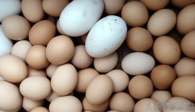 |鹅蛋为啥少有人吃?也很少有鹅蛋卖?我也是刚知道,真的涨知识了