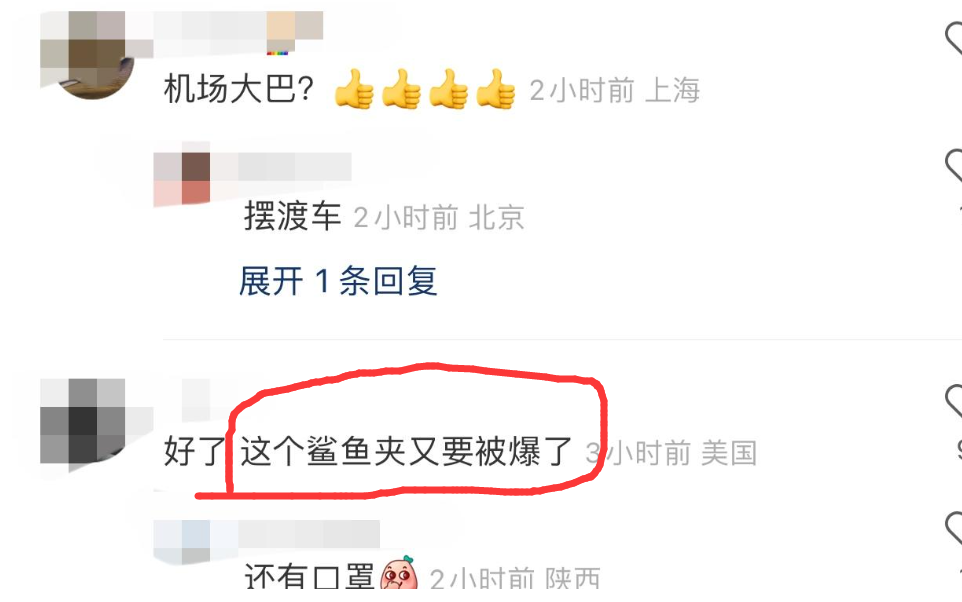 王菲|54岁王菲独自坐机场大巴，身边不见谢霆锋，5元鲨鱼夹是亮点