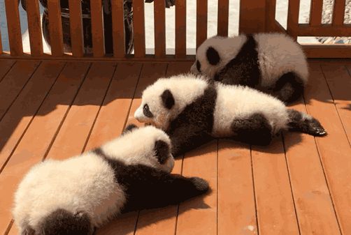 罕见的49张照片,天生丽质的斯嘉丽,产道放大1000倍的样子