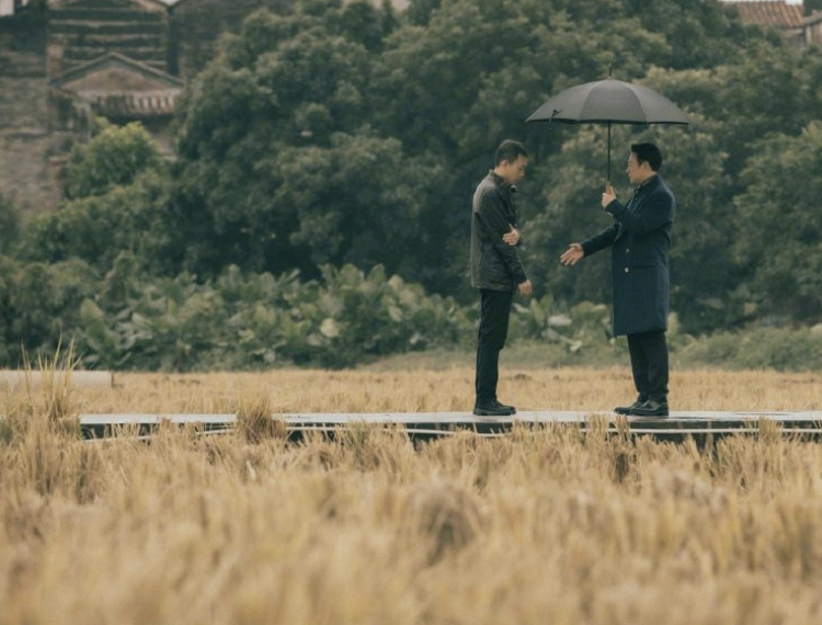 强盛集团|《狂飙》走红后，山东强盛集团老板瑟瑟发抖，7个方面也太巧合了