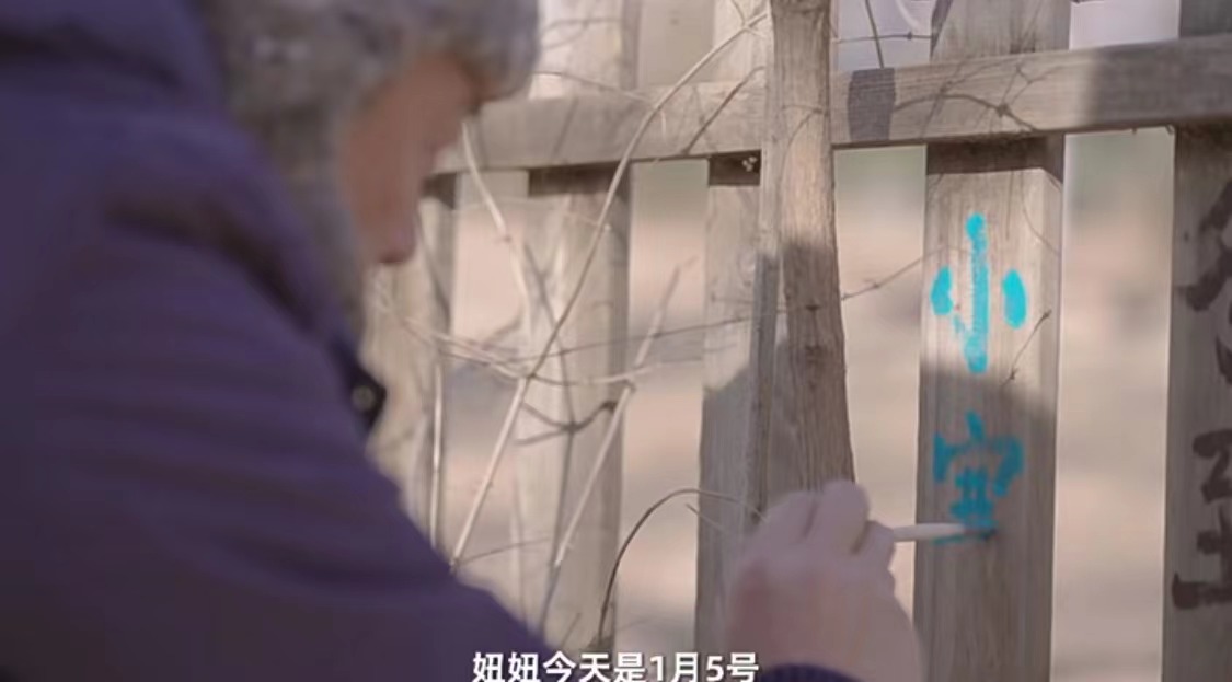 李亚鹏|李亚鹏做气候观测,亲吻女儿脸颊,与海哈金喜煲汤烤红薯恬淡温馨