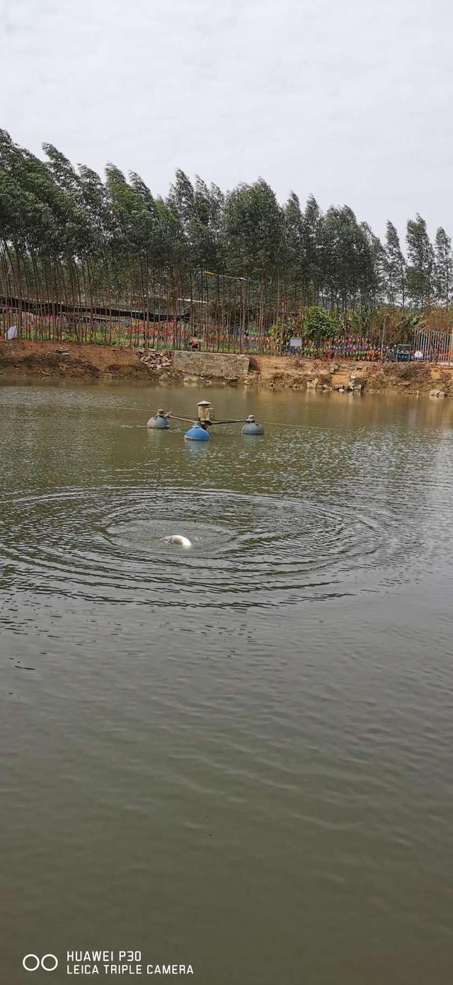 |钓虾农场作钓，酣畅淋漓擒巨物！