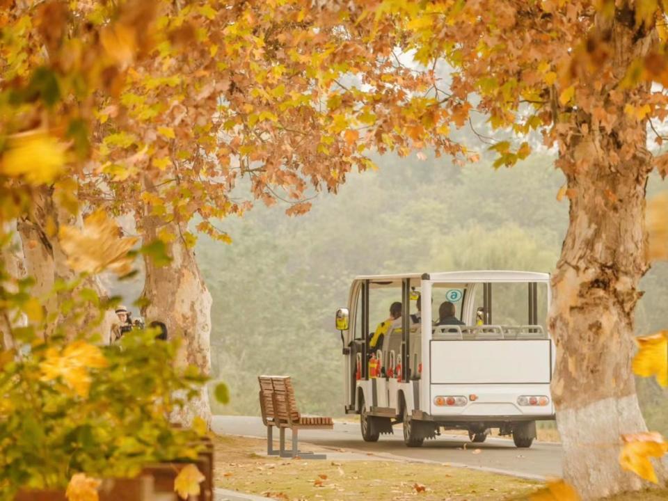 成都|成都一座高颜值的森林公园，秋天景色迷人，是全家出游的好地方