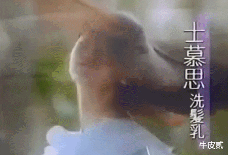 过气女港星的现状：一代女神卑微求工作，漂亮也只能在小区做保安