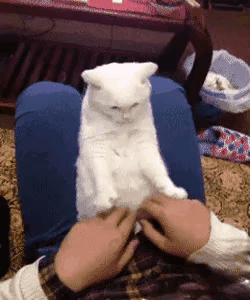 “小伙和41岁漂亮阿姨千里约会，见到本人后，网友：这波不亏！”