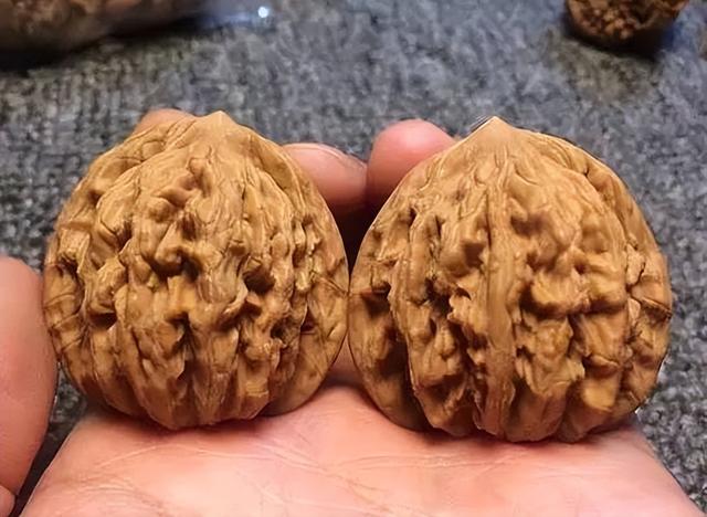 文玩核桃|文玩核桃完美包浆玉化,只需要这么做!新核友必问的9个问题