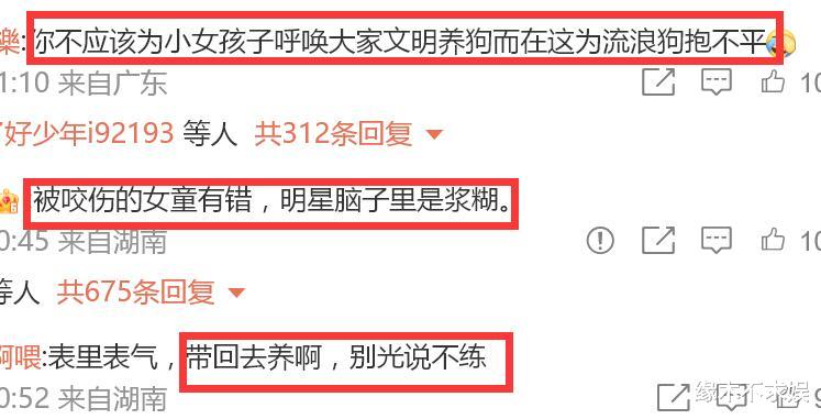 陈乔恩李小冉等明星为流浪狗发声,言论引争议,海量粉丝脱粉!