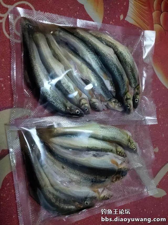 野钓钓出黑坑的感觉