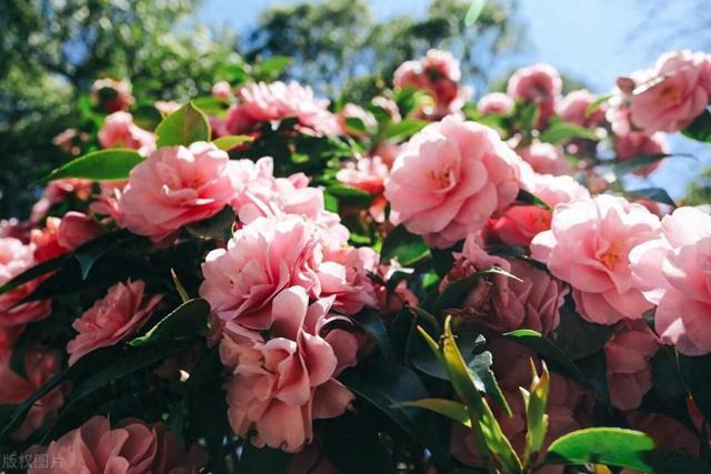 一个人有没有赚钱的能力,从说话的语气中就能听出来