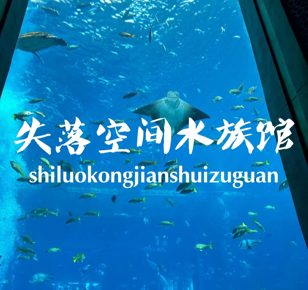 亚龙湾|《三亚过冬季》失落的空间水族馆，大人小孩都喜欢