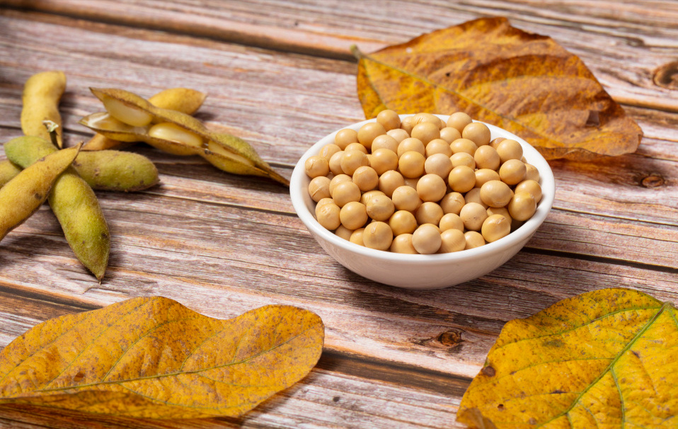黄豆营养多，经常吃好处多，但有4类人不要“随便吃”，早知为好